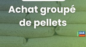 Nouvelle Action  : choisir son  pellet